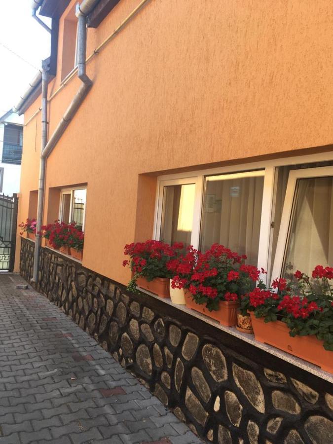 Casa Bis Apartment Sibiu Exterior photo
